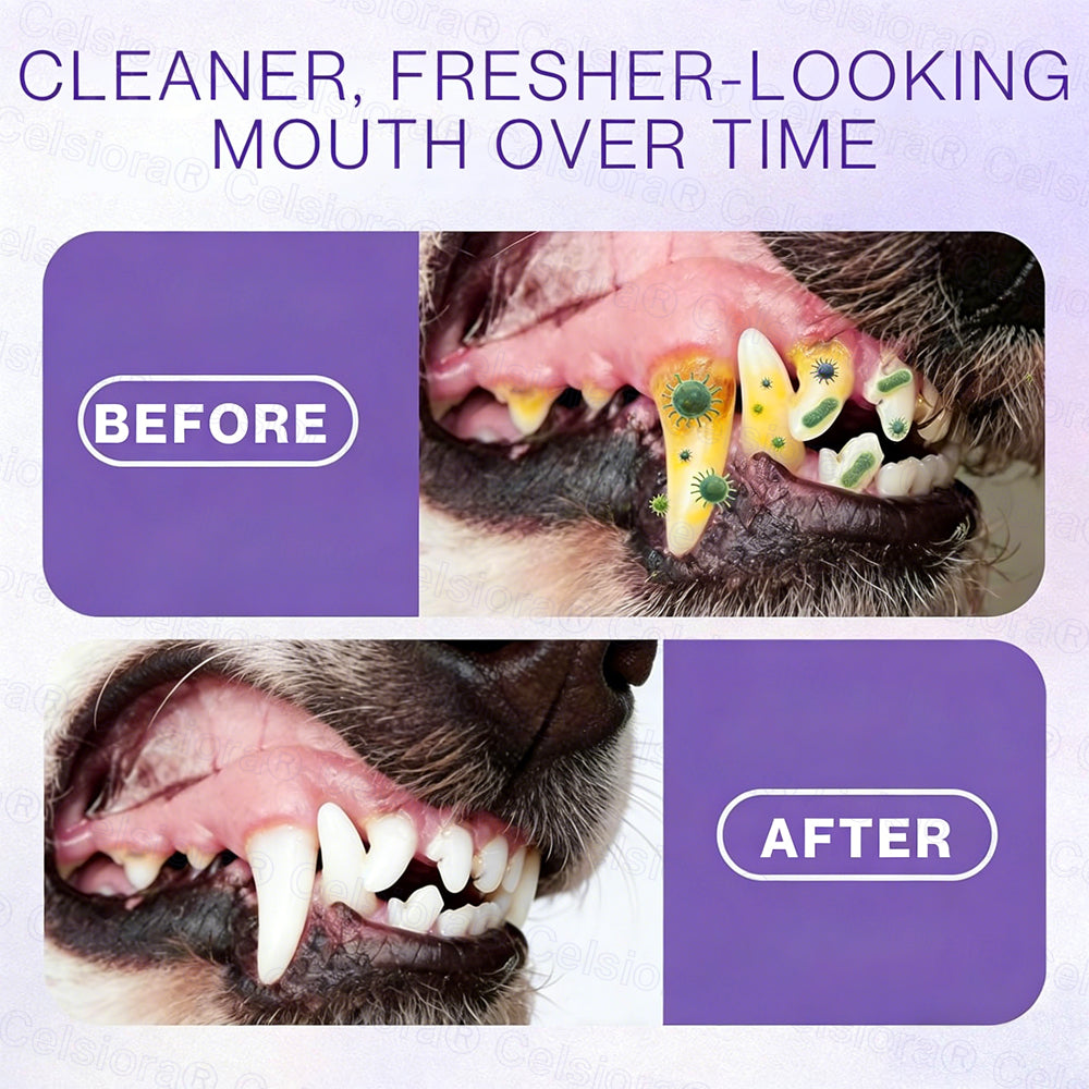 Celsiora® Pet Oral Spray ✅ Freshen Breath, Remove Tartar & Promote gum regeneration, stabilize teeth 🦷 upsell