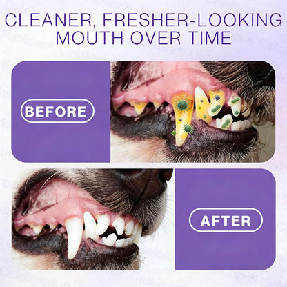 Celsiora® Pet Oral Spray ✅ Freshen Breath, Remove Tartar & Promote gum regeneration, stabilize teeth 🦷 upsell