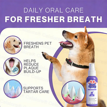 Celsiora® Pet Oral Spray ✅ Freshen Breath, Remove Tartar & Promote gum regeneration, stabilize teeth 🦷 upsell
