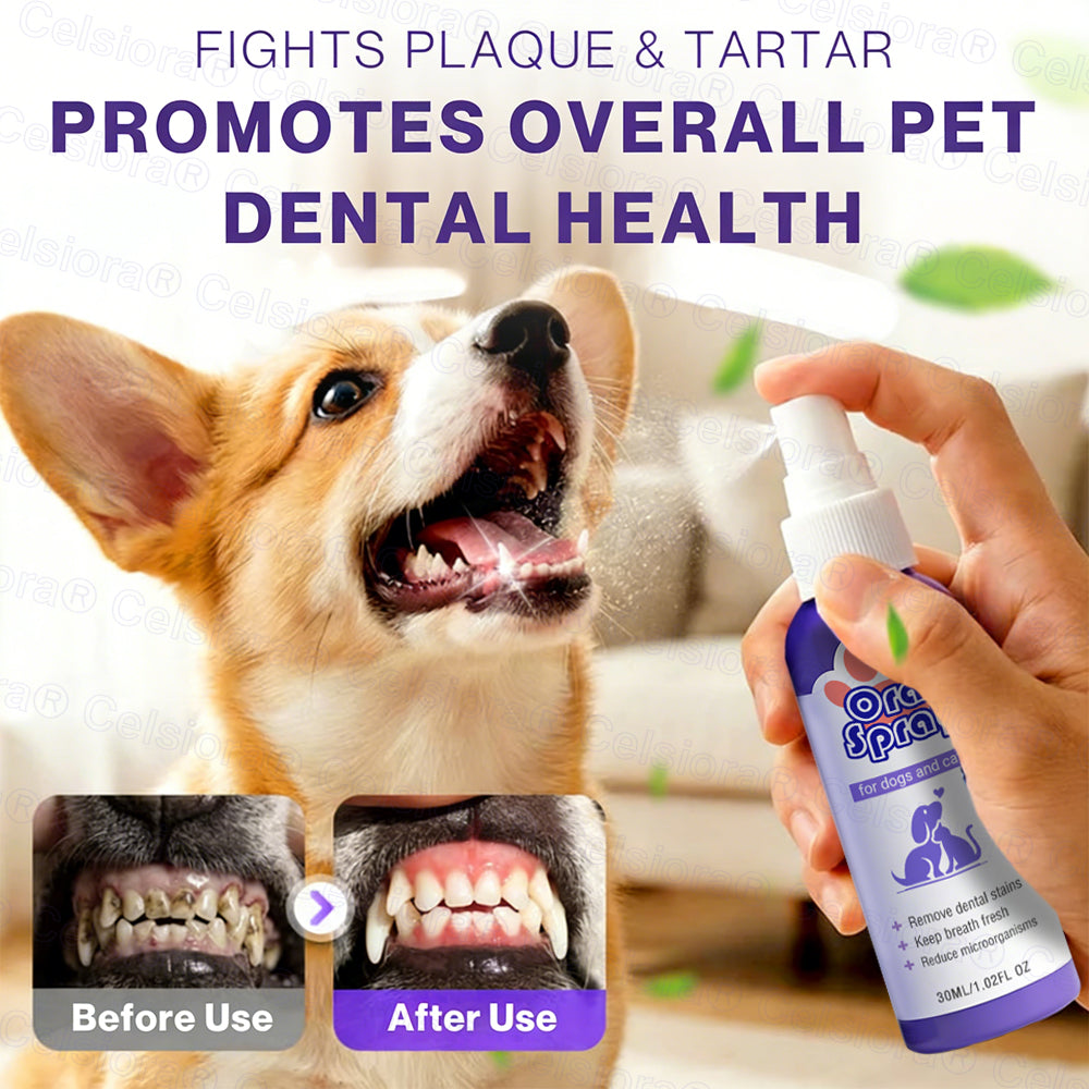 Celsiora® Pet Oral Spray ✅ Freshen Breath, Remove Tartar & Promote gum regeneration, stabilize teeth 🦷 upsell