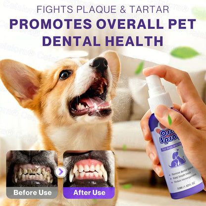 Celsiora® Pet Oral Spray ✅ Freshen Breath, Remove Tartar & Promote gum regeneration, stabilize teeth 🦷 upsell
